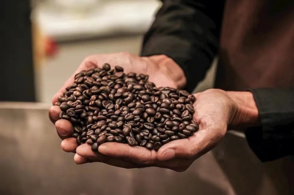 How to choose a wholesale coffee roaster?(图1)